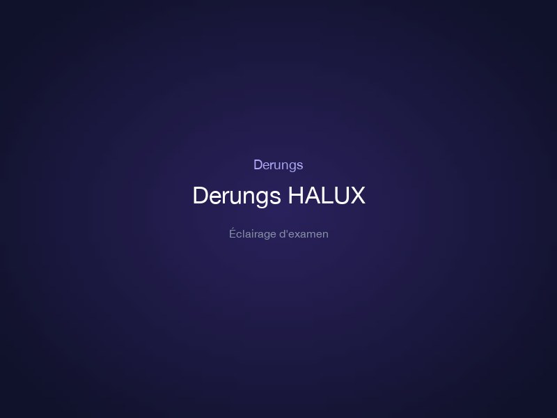 Derungs HALUX