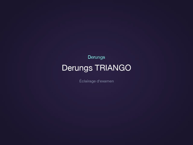 Derungs TRIANGO