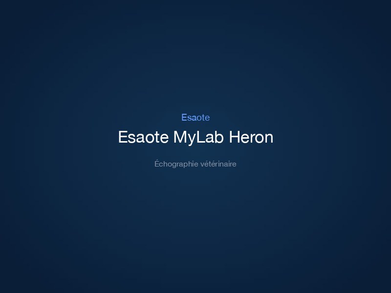 Esaote MyLab Heron