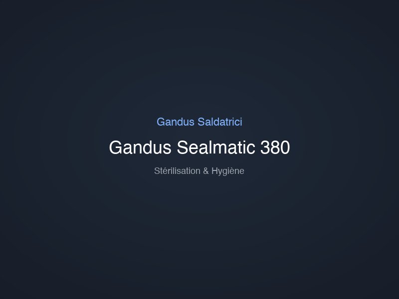 Gandus Sealmatic 380