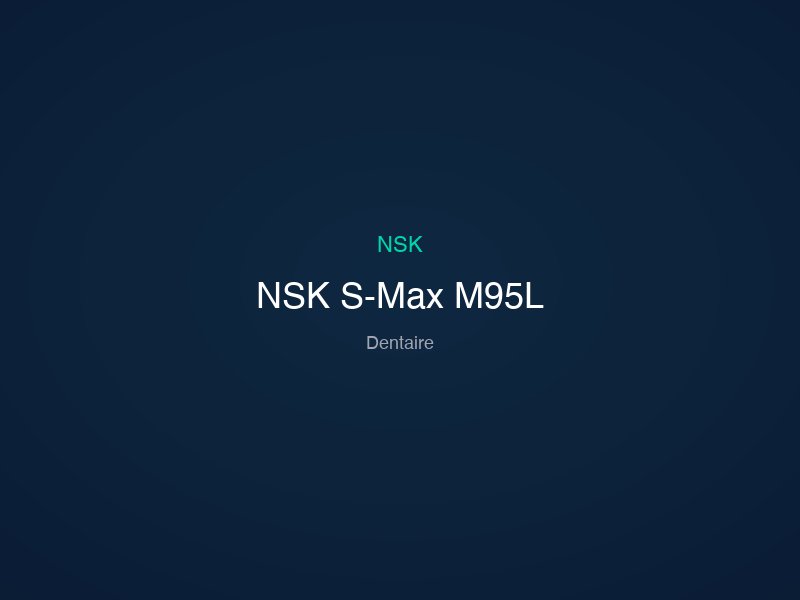 NSK S-Max M95L
