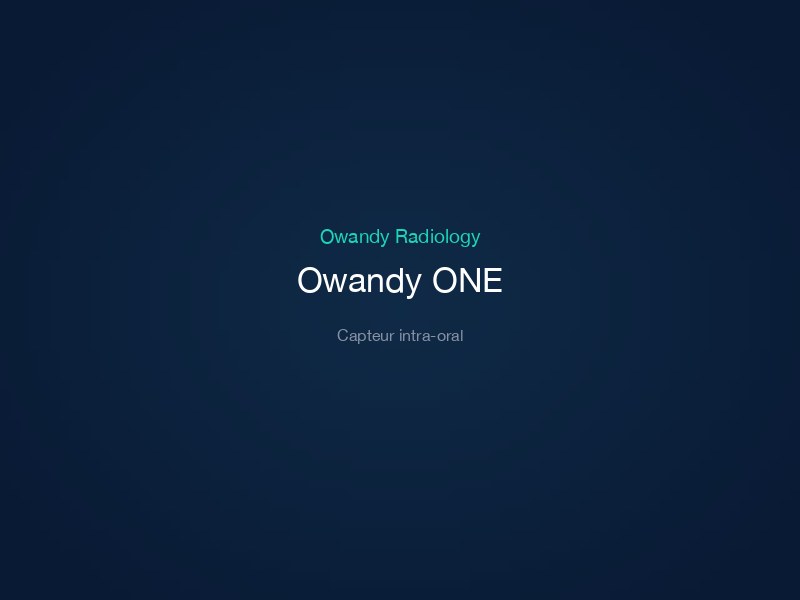 Owandy ONE