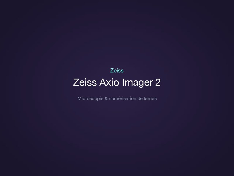 Zeiss Axio Imager 2
